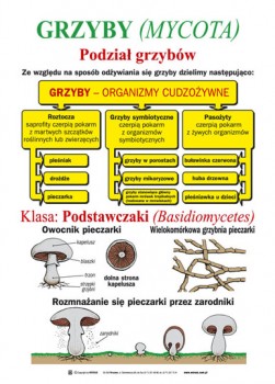 Botanika dla gimnazjum, część I 