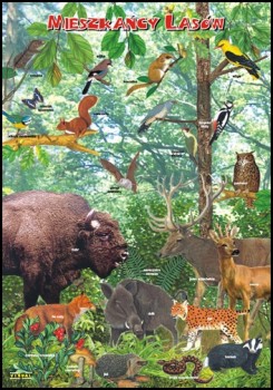 Zoologia 