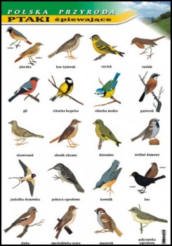 Zoologia 