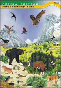 Zoologia 