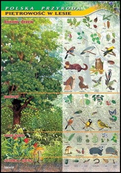 Zoologia 