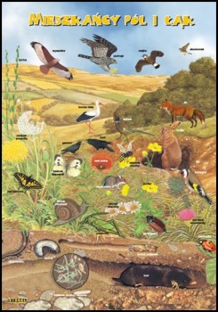 Zoologia 