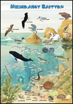 Zoologia 