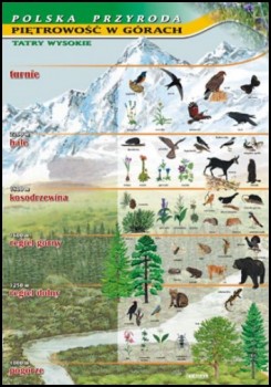 Zoologia 