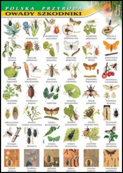Zoologia 