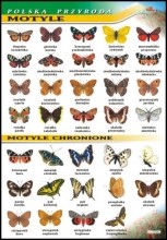 Zoologia 